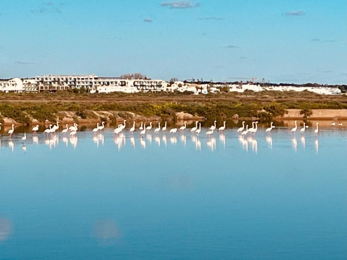Casa Bamboo Tavira Lägenhet Exteriör bild